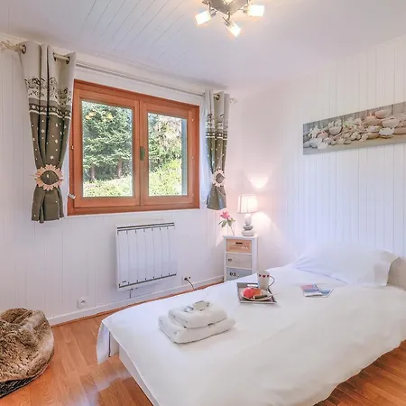 Chalet Le Petit Dru Chalet *