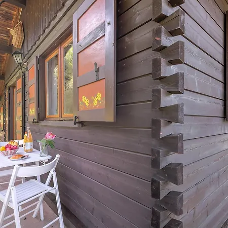 Chalet Le Petit Dru Chalet *