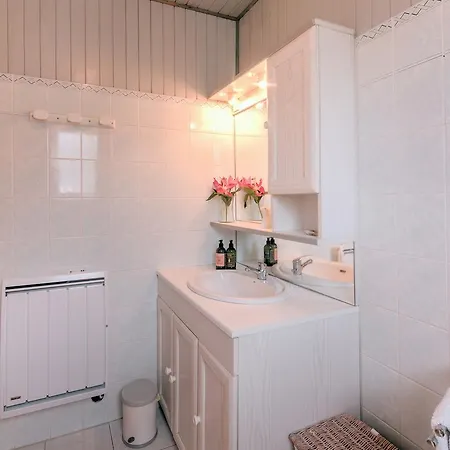 Chalet Le Petit Dru Chalet